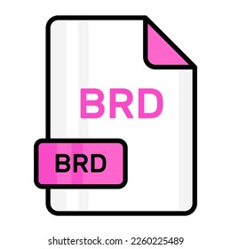 An amazing vector icon of BRD file, editable design