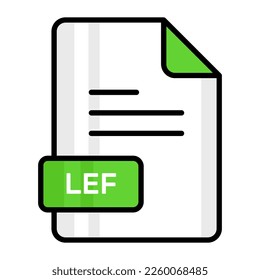 An amazing vector icon of LEF file, editable design