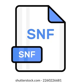 An amazing vector icon of SNF file, editable design