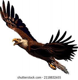 Amazing Wild Eagle Flying High