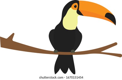 Amazon bird on tree, illustration, vector on white background.