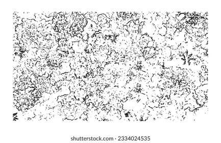 Amazon forest grunge texture design