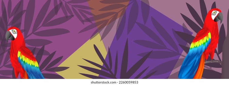 Amazon jungle parrot background beautiful illustration vector