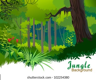 AMAZON JUNGLE TREES AND WILDERNESS