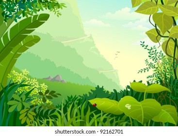 AMAZON JUNGLE TREES AND WILDERNESS