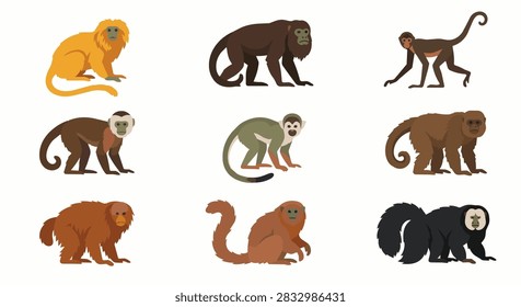 Amazon Monkey Species Tropical Primate Icon Set