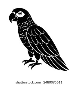  Amazon Parrot Silhouette Art Design