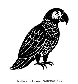  Amazon Parrot Silhouette Art Design