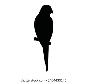 Loro amazónico, pájaro loro Vector amazon. Ilustración simple. Silueta de loro.