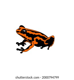 Amazon poison frogs are used for poison arrows