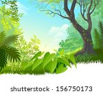 Amazon Rain Forest