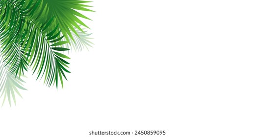 Amazon rainforest horizontal border frame. Vector illustration with beautiful tropic plant, coconut palms, lush monstera leaves. Summer, travelling designs, invitation and promo posters and wallpapers