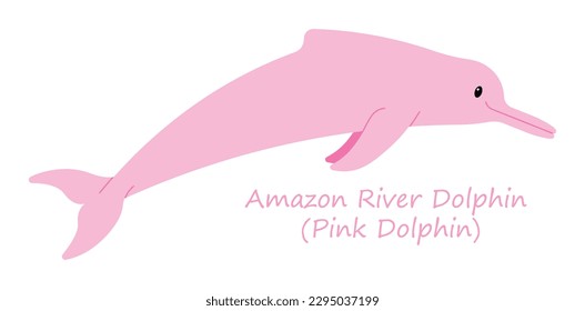 Delfín del río Amazonas o delfín rosado (Platanistoidea) lindo animal con coloridos dibujos animados aislados en fondo blanco. Gráficos vectoriales. Es un animal de agua dulce y una especie de ballena dentada.