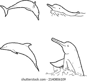 Amazon River Dolphin (Pink Dolphin) Vector Illustration Hand Drawn Animal Cartoon Art