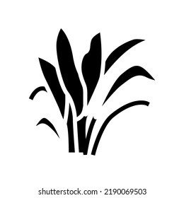 amazon sword glyph icon vector. amazon sword sign. isolated symbol illustration