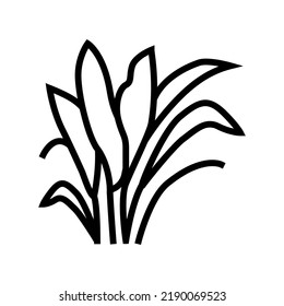 vector de icono de línea de espada amazon. signo de la espada amazónica. símbolo de contorno aislado ilustración negra