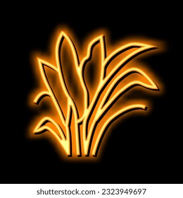 amazon sword neon light sign vector. amazon sword illustration