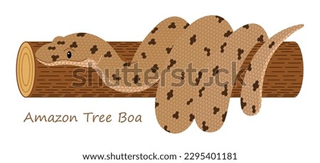 Amazon Tree Boa (Corallus hortulanus) cute animal in colorful cartoon style isolated on white background. Vector graphics. It are long and thin, unlike some of their bulky boa cousins. 