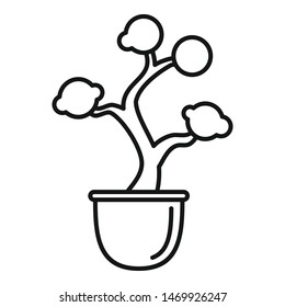 Amazon tree pot icon. Outline amazon tree pot vector icon for web design isolated on white background