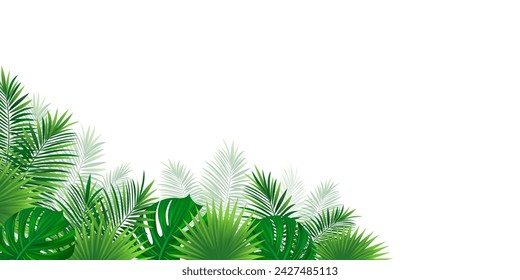 amazon tropical border frame. Green rainforest card. Vector illustration with beautiful tropic plants. Palm and monstera leaves background for summer designs, cards and jungle wallpaper.