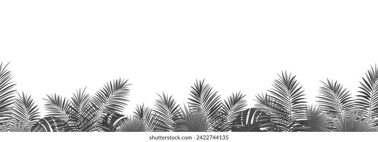 Amazon tropical leaves seamless pattern. vector illustration. Rainforest foliage template border frame. Jungle plants repeated banner. Black coconut palms leaves repeated background.