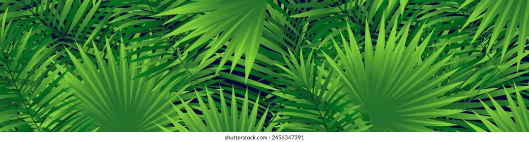 Amazonas tropische Blätter Vektorgrafik Banner. Regenwald Laub Vorlage Hintergrund. Dschungelpflanzen Bildschirmhintergrund. Grüne Kulisse mit tropischen Palmenblättern und Monstera aus der Nähe. Sommer und Frühling schönes Design