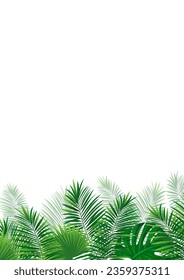 amazon vertical border frame. Green rainforest poster. Vector illustration with beautiful tropic plants. Palm and monstera leaves on a white background for summer designs, cards and wallpaper.