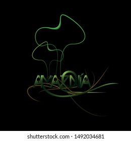 amazonia name typography creative art work