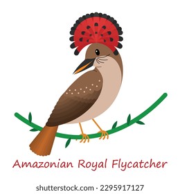 Amazonian Royal Flycatcher cute animal in colorful cartoon style isolated on white background. it is a medium-sized passerine bird native to the Amazon basin in South America. 