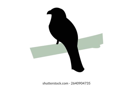 Amazonian trogon bird Silhouette Design  And Vector Illustration. 