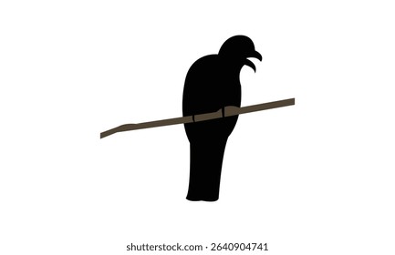 Amazonian trogon bird Silhouette Design  And Vector Illustration. 