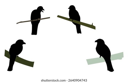 Amazonian trogon bird Silhouette Design  And Vector Illustration. 