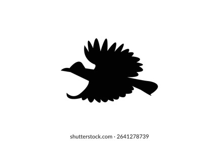 Amazonian umbrellabird bird Silhouette Design  And Vector Illustration. 