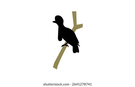 Amazonian umbrellabird bird Silhouette Design  And Vector Illustration. 