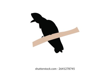 Amazonian umbrellabird bird Silhouette Design  And Vector Illustration. 