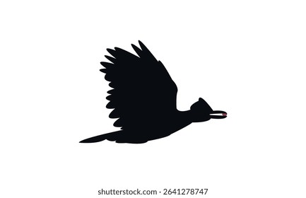 Amazonian umbrellabird bird Silhouette Design  And Vector Illustration. 