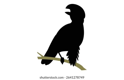 Amazonian umbrellabird bird Silhouette Design  And Vector Illustration. 