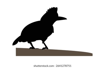Amazonian umbrellabird bird Silhouette Design  And Vector Illustration. 
