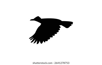 Amazonian umbrellabird bird Silhouette Design  And Vector Illustration. 