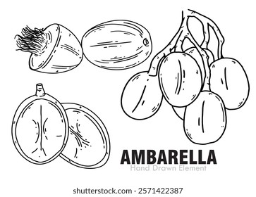 Ambarella fruit element vector design, agriculture, coloring page, black ink, fruit packaging design, health, ornament design