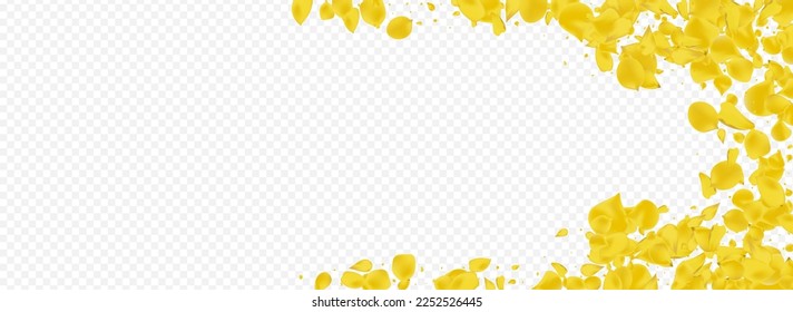 Amber Floral Fall Vector Panoramic Transparent Background. Summer Petal Texture. Gold Peach Blur Banner. Mustard Lotus Spring Cover.