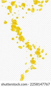 Amber Petal Falling Vector Transparent Background. Blur Peach Pattern. Gold Floral Flying Texture. Yellow Sakura Summer Wallpaper.