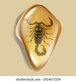 Amber stone with insect isolated on white background. Scorpio ancient and modern insect frozen in amber. Petrous resin for design. Gemstone or mineral bubble.Stock vector illustration
