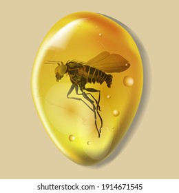 Amber stone with insect isolated on white background. Mosquito or flea ancient and modern insect frozen in amber. Petrous resin for design. Gemstone or mineral bubble.Stock vector illustration
