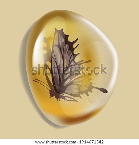 Amber stone with insect isolated on white background. Butterfly modern insect frozen in amber. Petrous resin for design. Gemstone or mineral bubble.Stock vector illustration
