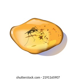 Piedra ámbar con insectos aislados en fondo blanco. Resina petuosa para el diseño. Burbuja mineral o gemstone. Ilustración vectorial de las existencias