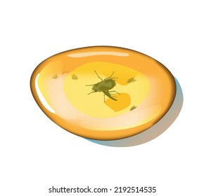 Amber stone with insects isolated on white background. Petrous resin for design. Gemstone or mineral bubble.Stock vector illustration