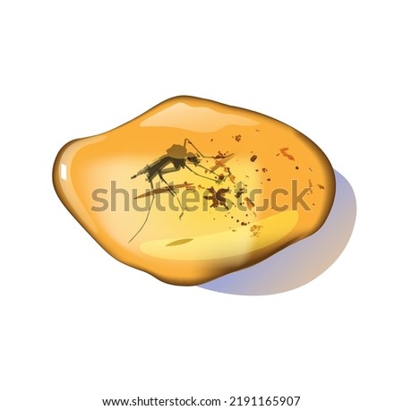 Amber stone with insects isolated on white background. Petrous resin for design. Gemstone or mineral bubble.Stock vector illustration