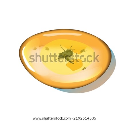 Amber stone with insects isolated on white background. Petrous resin for design. Gemstone or mineral bubble.Stock vector illustration
