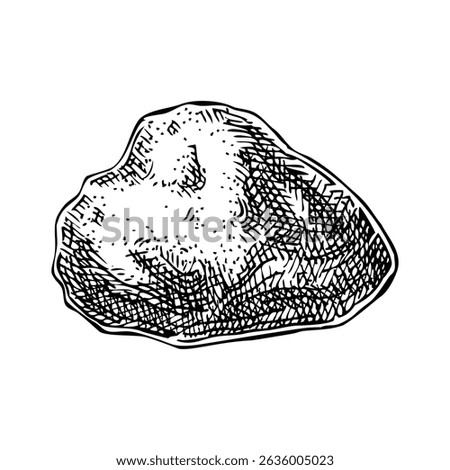 Ambergris skecth. Hand drawn vector illustration. Aromatic ingredients, perfumery, and organic cosmetics logo design. NOT AI generated